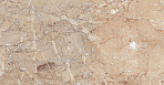 Brecia Antic Brown Керамогранит 60х60 Полированный_4