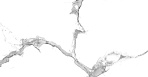 Statuario Crown Керамогранит белый 60x120 сатинированный_5