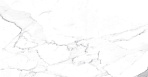 Carrara Terrific Silver Керамогранит белый 60х60 Матовый_4