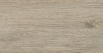 Ironwood Desert Керамогранит бежевый 120,2х19,3_1