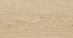 Club керамогранит бежевый SG517120R 19,6х119,1_5