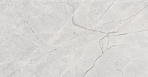 Connect Gris Керамогранит серый SG50002922R 59,5х119,1 полированный_0