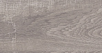 Rainwood керамогранит графитовый SG516700R 19,6х119,5_6