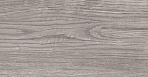 Rainwood керамогранит графитовый SG516700R 19,6х119,5_3